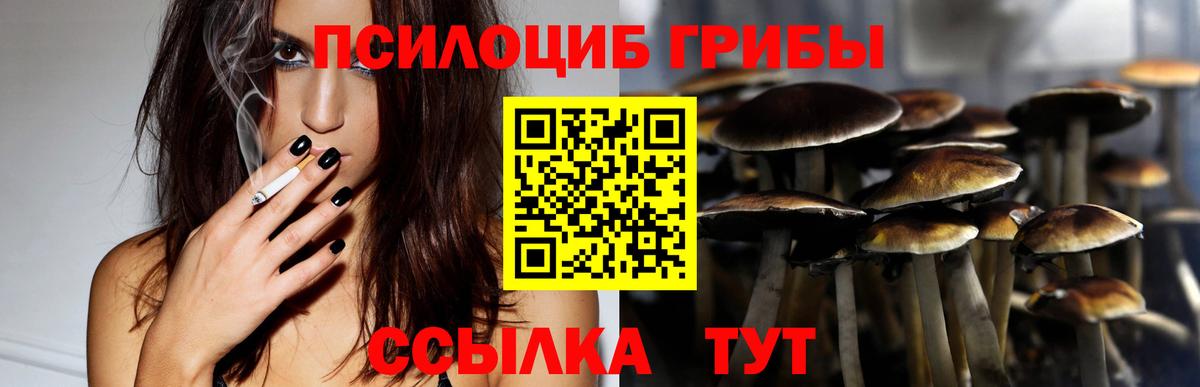 Реж  Галлюциногенные грибы прущие грибы  Вход с VPN 